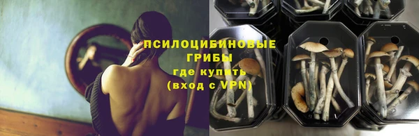 ECSTASY Горнозаводск